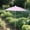 Pink, variant on KeirineCC Plant Shade Umbrellas for Outdoor Plants,Plant Umbrella,Practical Easy Installation,24"*14" Sun Shade Covers,Sun Protection Cloth for Potted Plants,Garden Beds,Patio Flowers,Colors-Colorful