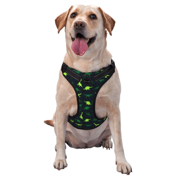 Balery Dinosaurs Arnés para Perros Grandes Antitirones, Arnés con Correa para Gato, Arnés Tipo Chaleco para Perros Pequeños-X-Large