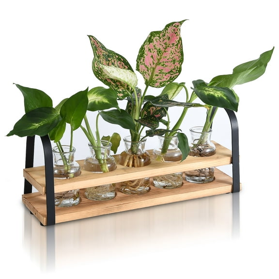 UPTRUST Plant Propagation Stations with Metal Stand, Tabletop Plant Terrarium for Propagating Hydroponic, Retro Glass Planter Flower Vase Home Kitchen Office Decor, Plant Lover Gifts, 5 Jars