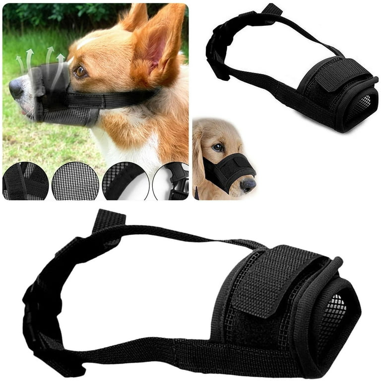 Trunk Spacer Dog Dog Accessories Online Shop Dog Lunging Accessories Dog Accessories for Large Dogs Dog Accessories Store Pet Supplies Plus near Me Pet Supplies For Small Dog Food Pet Supplies