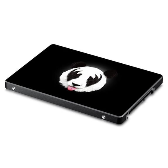 MightySkins SA850EV-Rock N Roll Panda Skin for Samsung 850 & 860 Evo 2.5 in. SSD - Rock N Roll Panda