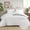White, variant on Aisbo Fluffy Queen Comforter Set - Light Green Fleece Soft Comforter for Queen Size Bed, Luxury Warm Bedding Set for Winter, Fuzzy Bed Set 3 Pieces (1 Comforter, 2 Pillowcases)