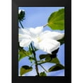 thumbnail image 2 of Hausenflock, Alan 11x14 Black Modern Framed Museum Art Print Titled - Hibiscus I, 2 of 5