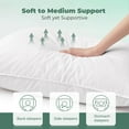 thumbnail image 3 of Peace Nest 2 Pack 100% Cotton White Goose Feather Down Bed Pillows Medium - King, 3 of 5