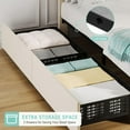 thumbnail image 6 of Twin Size Bed Frame with Adjustable Headboard and 2 Storage Drawers, Velvet Upholstered Tufted Twin Platform Bed Frames with Wooden Slats Support, Bedframe No Box Spring Needed, Beige/Cream, 6 of 9