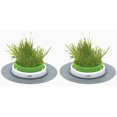 thumbnail image 1 of Catit Senses 2.0 Grass Planter 2-Pack, 1 of 1