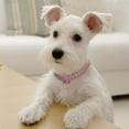 thumbnail image 4 of Methold Collar elástico de cristal ostentoso para mascotas, colgante en forma de hueso, accesorios elásticos para mascotas Suministros para perros rosado S, 4 of 6