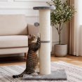 thumbnail image 1 of Cat Scratching Post 32" Tall, 5-Inch DiameterNatural Sisal Cat Scratch Post with Dangling Ball, Protect Your Furniture, Scratch-Resistant and Durable for Indoor Cats, LightGrey, 1 of 8