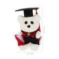 thumbnail image 4 of BRIGHTFUFU 10 piezas de graduación de la muñeca de oso de 10 piezas dormitorio de peluche de oso, 4 of 7