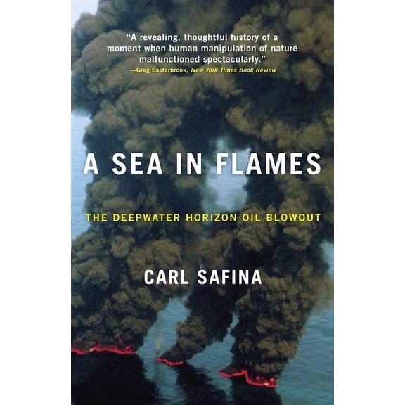 A Sea in Flames: The Deepwater Horizon Oil Blowout, (Paperback)
