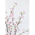 thumbnail image 5 of 36" Faux Quince Blossom Pink Stem Flowering Branch, 5 of 5