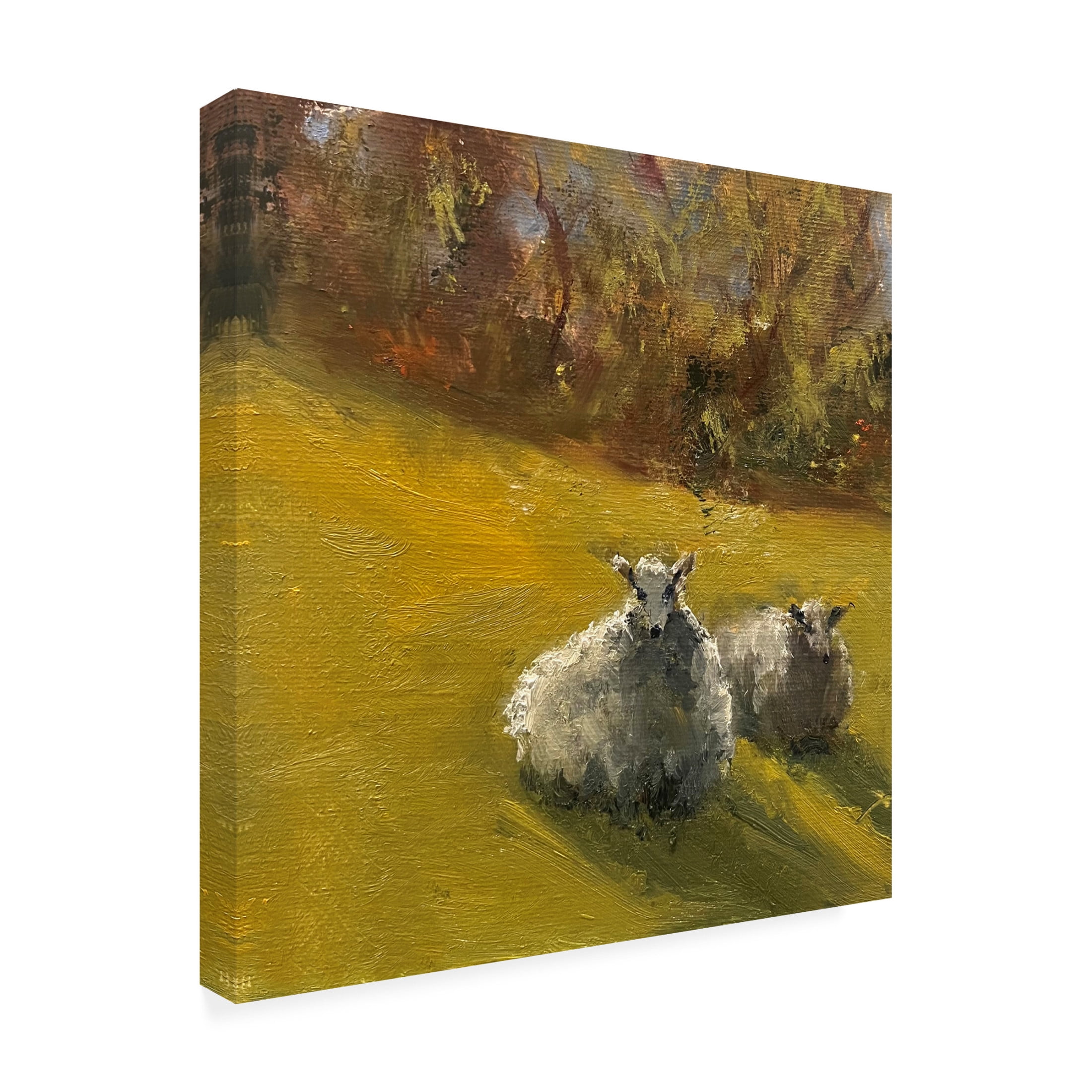 Trademark Fine Art Marilyn Wendling  Sheep in Field V Canvas Wall Art