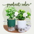 thumbnail image 4 of Automatic Water-absorbing Planter, Self-watering Pot, Smart Growing System, Modern Home Decor, for Indoor Plants, Substrate-Free Hydration, Easy Maintenance, Compact Design, Office-Travel Akmoler, 4 of 7