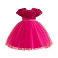 thumbnail image 4 of HomeGardon Flower Girl Dress,Toddler Dress for Girls,Children's Dress Sequin Dress Princess Dress Flower Girl Dress Wedding Dress,100-150, 4 of 4