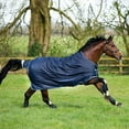 thumbnail image 4 of Horseware Ireland  Amigo Bravo 12 T/O Heavy 400g Navy/Navy 75, 4 of 4