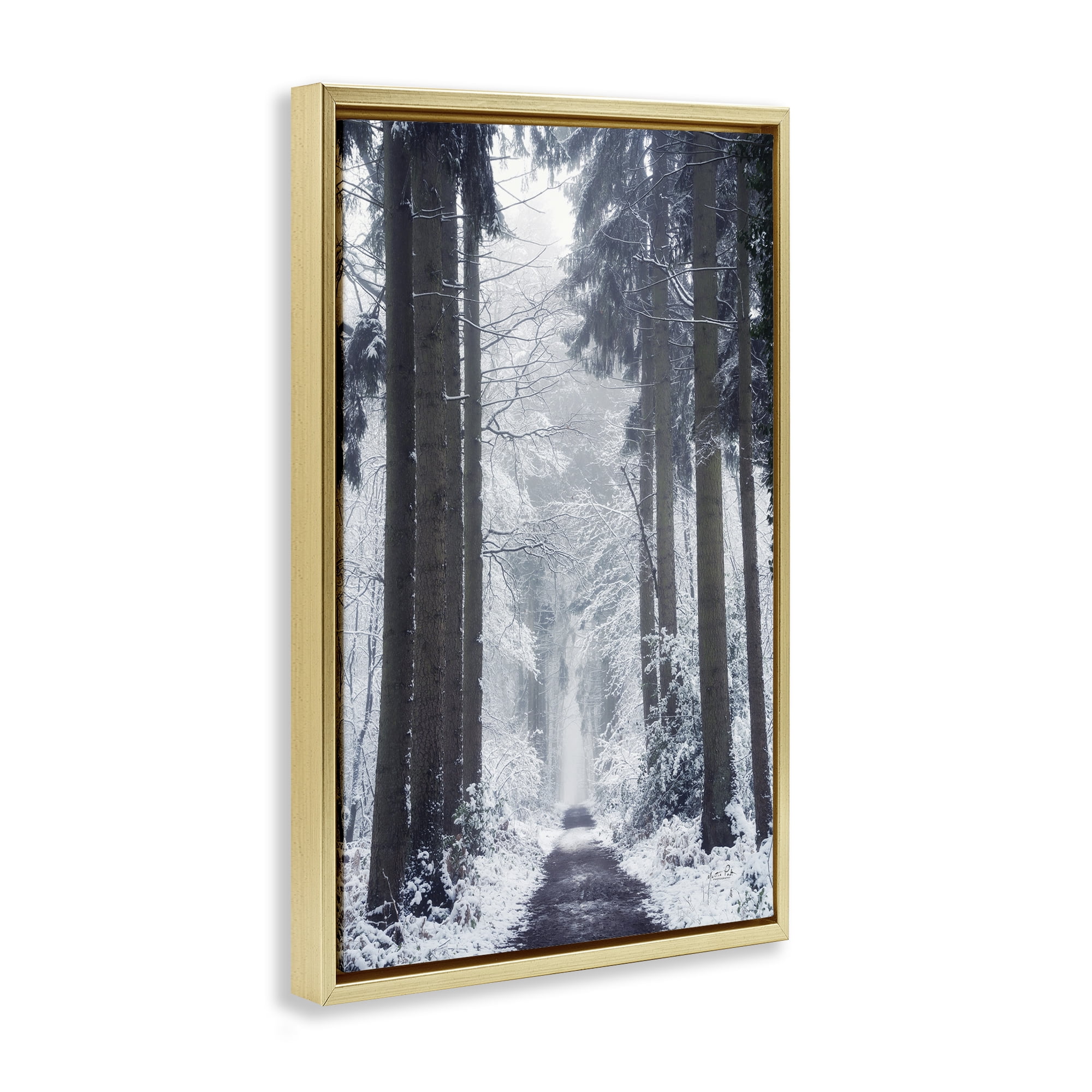 Stupell Industries Winter Fir Path Landscape Photography Gold Floater Framed Art Print Wall Art, 17 x 25
