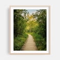 thumbnail image 2 of Dolly Sods Trail 01 - West Virginia Photography Forest Nature Scenic Boardwalk Landscape Autumn Unframed Wall Art Print 22 x 28 inches, 2 of 13