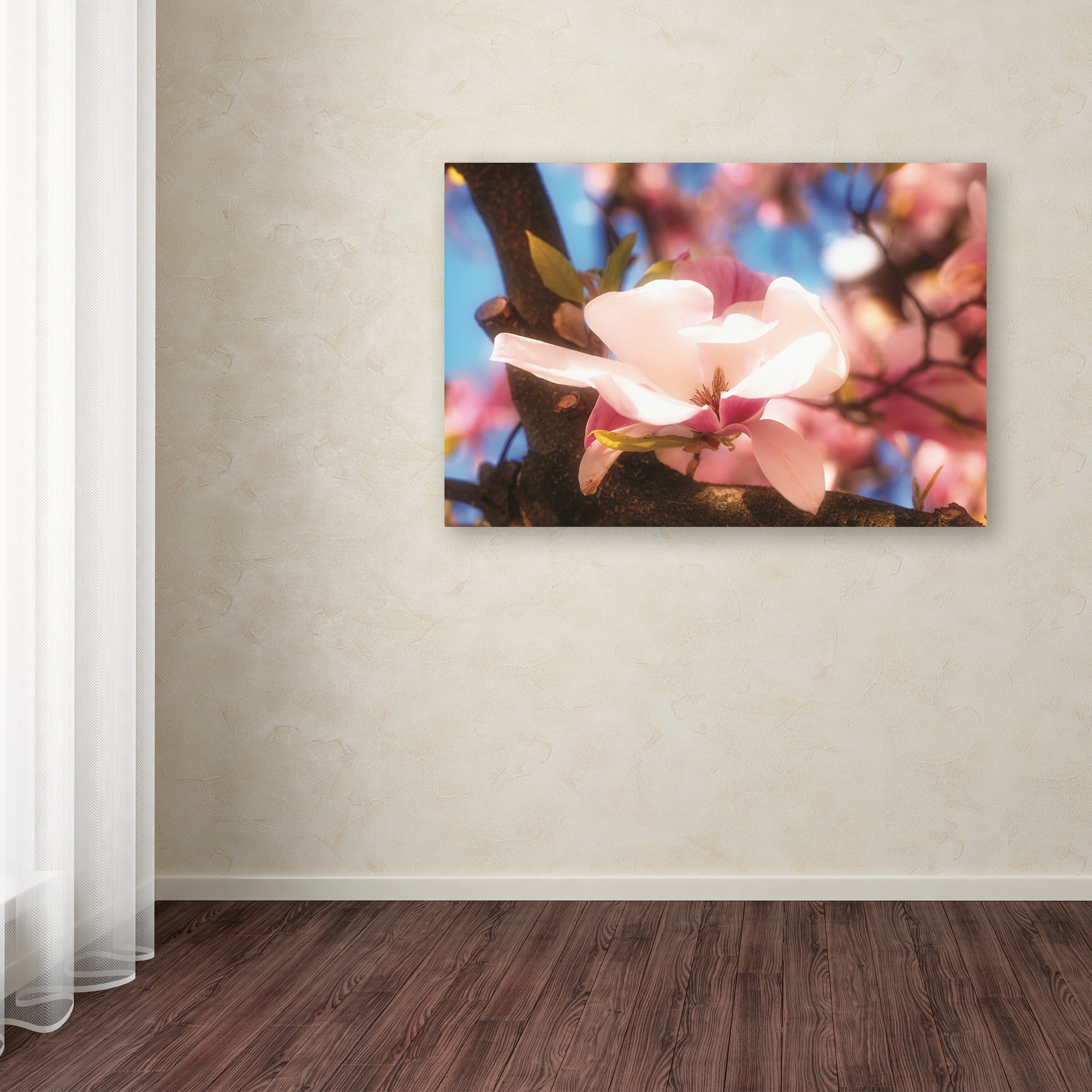 Trademark Fine Art 'Springtime' Canvas Art by Philippe Sainte-Laudy