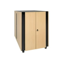 Eaton Tripp Lite Series 18U Soundproof Rack Enclosure Server Cabinet Quiet Acoustic - Rack cabinet - black, beige - 18U - 19"