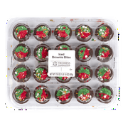 Freshness Guaranteed Holiday Iced Brownie Party Tray, 17.6 oz, 20 Count