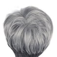 thumbnail image 5 of YWOAGH Wig European and American Short Curly Hair Grandma Gray Partial Headgear Wig wig Multicolor, 5 of 8