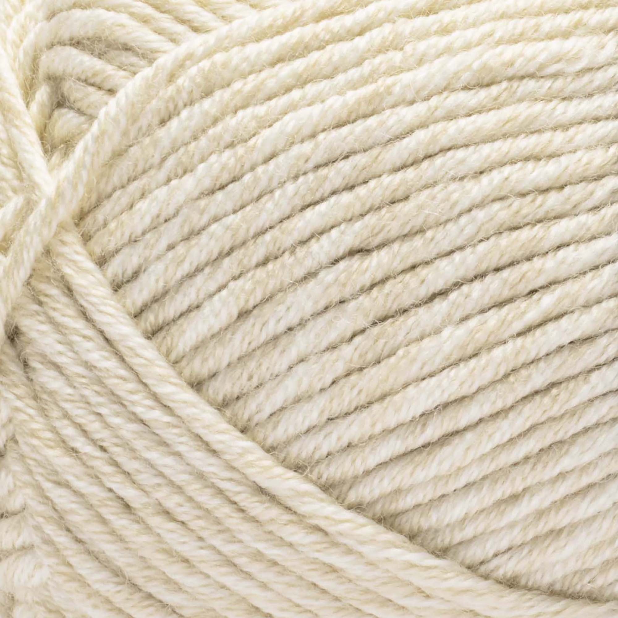 Caron® Simply Me Montage™ #5 Bulky Blend Yarn, Smokey Quartz 5oz/140g 172 Yards (3 Pack)