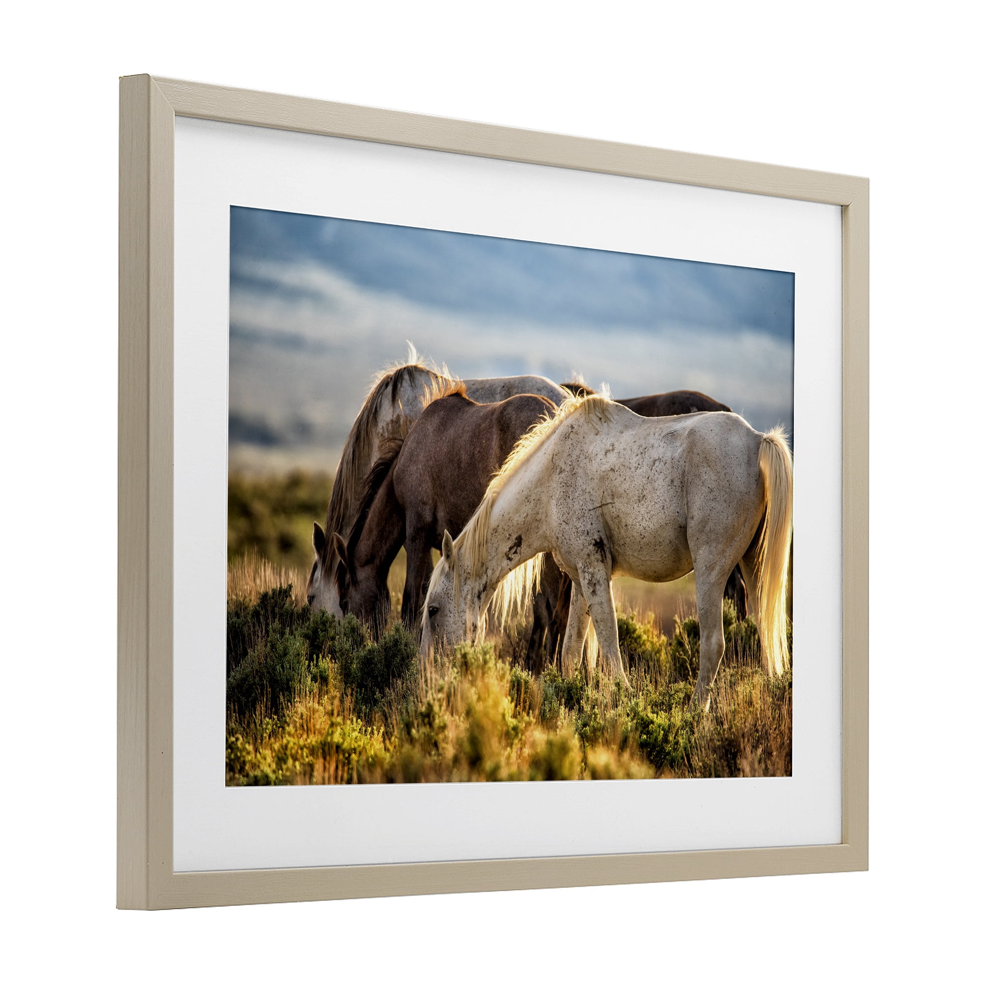 Stupell Industries Equine Evening Graze Birch Framed Print Under Glass, design by Tim West