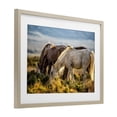 thumbnail image 2 of Stupell Industries Southwestern Equine Evening Graze Birch Framed Print Under Glass, 20 x 14, by Tim West, 2 of 8