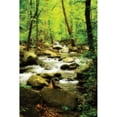 thumbnail image 3 of Hausenflock, Alan 17x24 Black Modern Framed Museum Art Print Titled - White Oak River I, 3 of 5