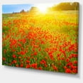 thumbnail image 2 of Beautiful Sunshine over Poppy Fields - Floral Canvas Art print, 2 of 3