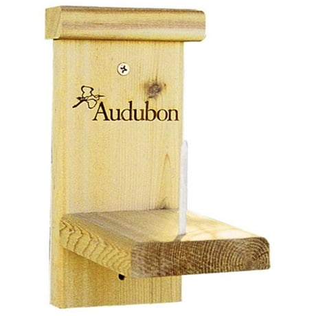 audubon walmart