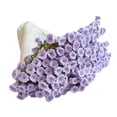 thumbnail image 4 of Kit de crochet de manta de ramo decoración de bricolaje kit decorativo de tejido decorativo kit de inicio de crochet para regalos de aniversario de Violeta, 4 of 8