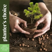 Herb Garden Growing Kit + Herb Grinder - Complete Kitchen Gardening Kit to Easily Grow 4 Culinary Herbs from Seed (Basil, Cilantro, Chives, Parsley) + Comprehensive Guide - Unique Gift for Women & Men