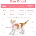 Picture Idea: Cat Harness And Leash Set For Walking Escape Proof Soft
