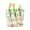 Green 1, variant on lanema Functional Clear Hydroponic Box Facilitating Plant Root Viewing Simple Upkeeps And Interior Decoration For Households