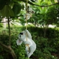 thumbnail image 3 of Estatua del oso koala Koala Colgando De Una Cuerda Animales Adornos De Jardín Estatua Estatuas Decoración Para El Hogar B Magideal Estatua del oso koala, 3 of 7