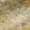 Fern, variant on Addison Rugs Chantille Indoor/Outdoor Transitional Abstract Baltic Machine Washable Rectangle Rug, 10' x 14'