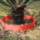 thumbnail image 4 of Garden Edge Border Decoration Garden Fence Flower Bed Border Is Suitable For Terrace Walkways And Courtyards, 4 of 6