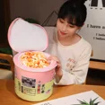 thumbnail image 5 of Cubo de fideos instantáneos, almohada de felpa con manta rellena de ternera estofada, chucrut, ternera, Fideos Fritos, espinillas, regalos de Ramen1750, 5 of 5