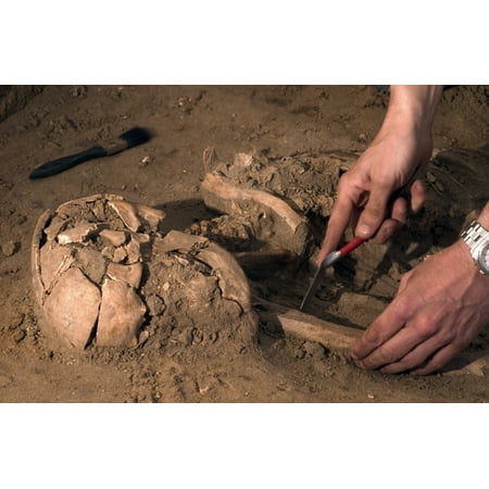 March 12 2007 - Human remains were discovered during an archeological dig at the RAF Mildenhall officers housing area in Beck Row The skeleton is thought to be up to 2000 years old Poster