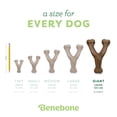 thumbnail image 4 of Juguete Masticable Wishbone Tocino Gigante, 4 of 6
