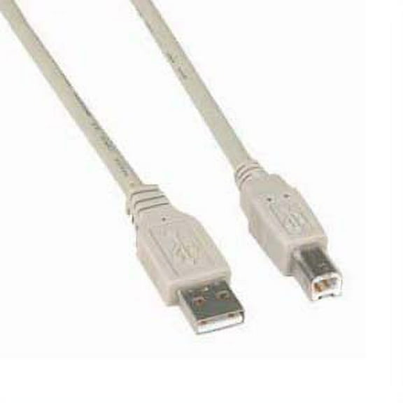 ACCL 6Ft A-Male to B-Male USB2.0 Cable Ivory, 1 Pack