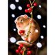 thumbnail image 1 of Drill Diamond Painting (DE5043) Full Kit DIY Bead Art Hamster Cherry Mosaic Picture 20X30cm Hugtrwg Para estrenar, 1 of 1