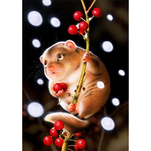 Drill Diamond Painting (DE5043) Full Kit DIY Bead Art Hamster Cherry Mosaic Picture 20X30cm Hugtrwg Para estrenar