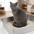 thumbnail image 4 of Stainless Steel Litter Box for Senior Cats Easy to Clean Litter Pan Cats Toilet Pans Large Box, 4 of 9