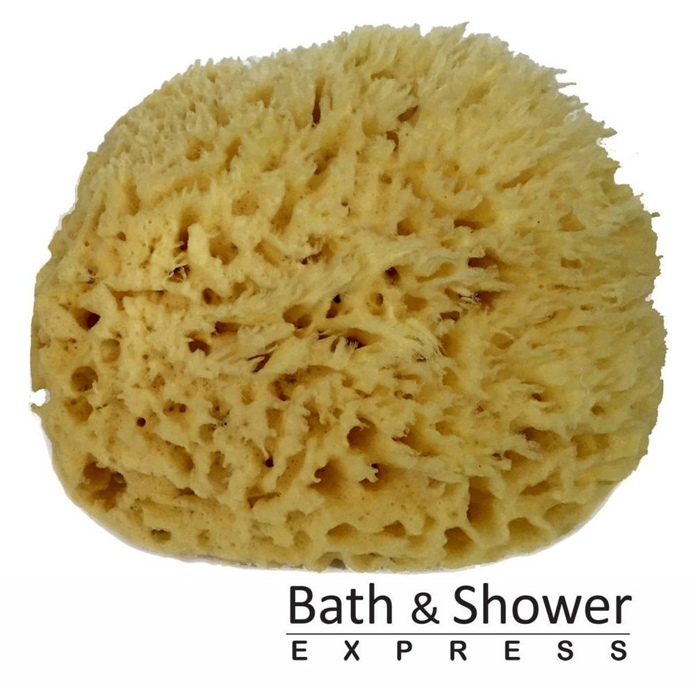 Sea Wool Sponge 56" (Large) by Bath & Shower Express ® Natural