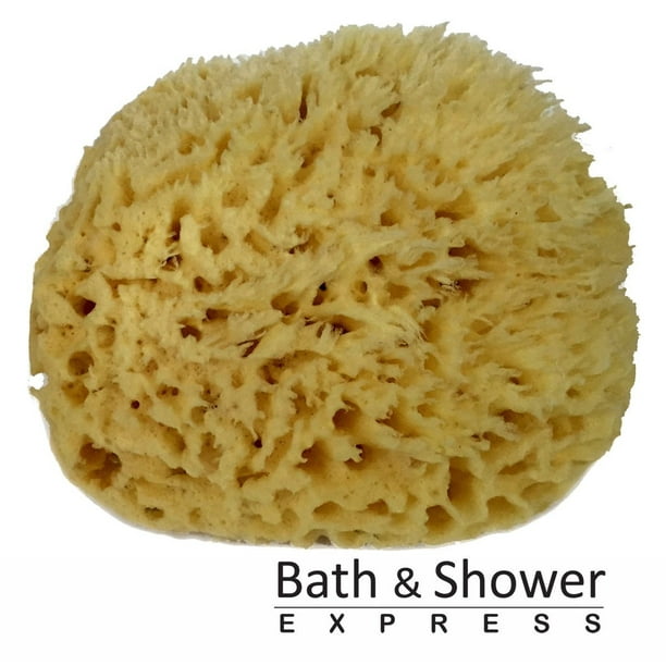 Sea Wool Sponge 56" (Large) by Bath & Shower Express ® Natural