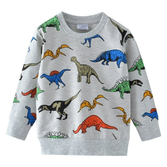 XBASW Baby Kids Sweatshirt Cartoon Print Sweater Autumn Spring Pullovers Tops 2-7T Boys Long Sleeve Jumper for Toddler