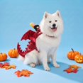 thumbnail image 2 of Vibrant Life Halloween Dragon Rider Costume for Dogs, Multicolor, L, 2 of 7