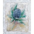 thumbnail image 3 of Withaar, Rian 20x24 Black Modern Framed Museum Art Print Titled - Thistle bud, 3 of 5